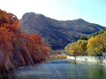 新澳天天开奖资料大全旅游团，奶牛养殖现状